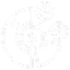 Asset Categories 