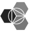 IBM Bluemix