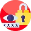Fraud Detection Systems
                            