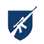 Gun