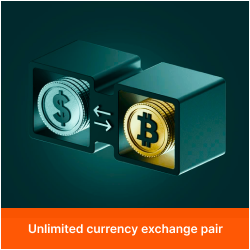 Unlimited currency exchange pair