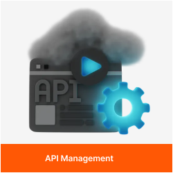 API Management