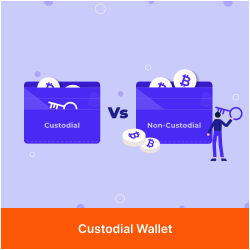 Custodial Wallet