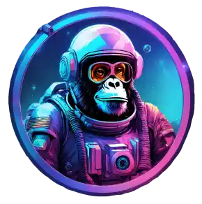 White Label OpenSea Clone Script