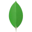 MongoDB