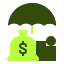 Investment Insurance