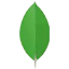 MongoDB