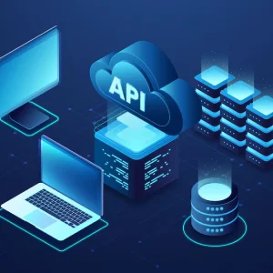 API Management