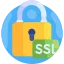 Inbuilt SSL