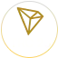 TRC20 Token Development