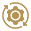 Development Process