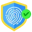 Biometric Authentication