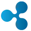 Blockchain Networks