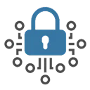 Cryptographic Libraries