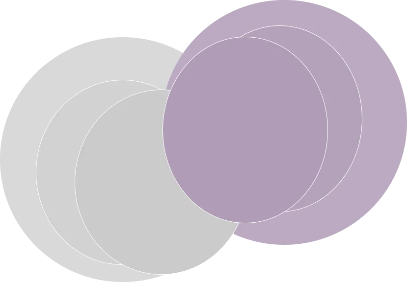 Crypto Licensing
