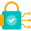 Robust Security