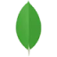 MongoDB