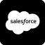 Salesforce Chatbot Development