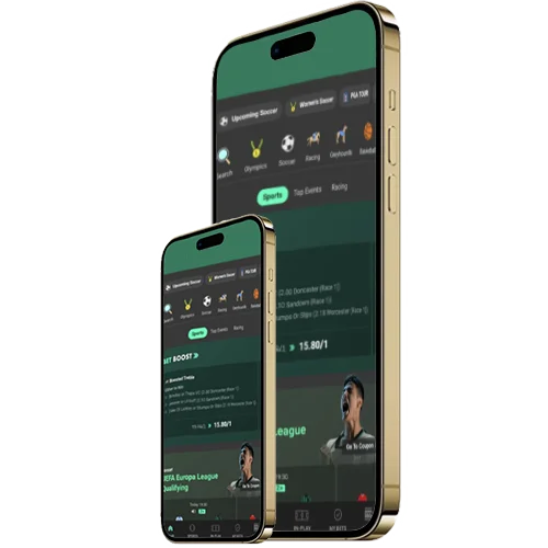 Bet365 Clone Software