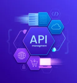 API Management