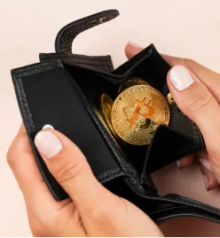 Custodial Wallet