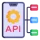 API Integration