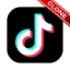 Tiktok Clone Script