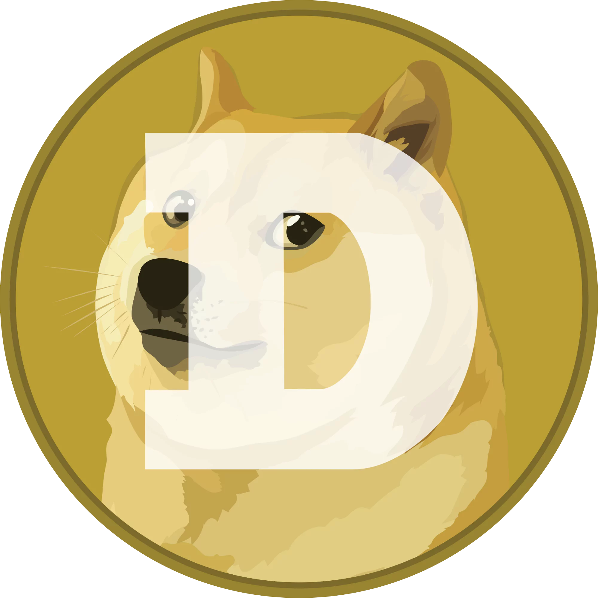 DogeCoin