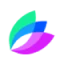 Solonart Clone Script