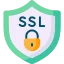 SSL protocol