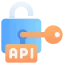 API Security