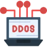 Anti-DDoS protection