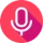 Voice Search Optimization
