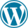 Hire Wordpress Developer