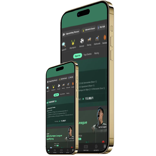 Bet365 Clone Software