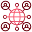 Network & Framework Selection