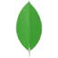 MongoDB