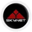 Skynet
