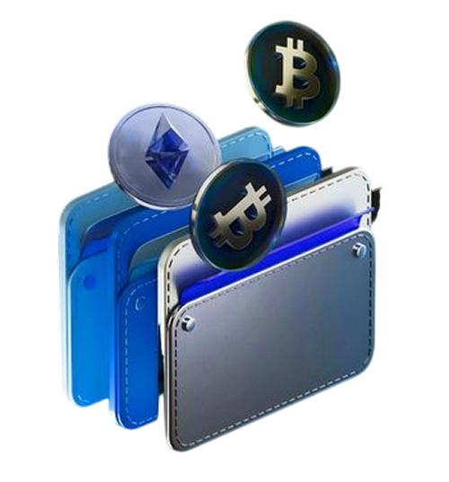 Multi Chain Crypto Wallet