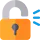 Registry Lock
