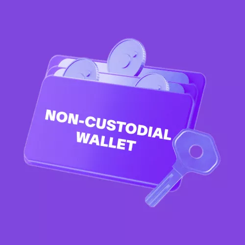 Custodial Wallet