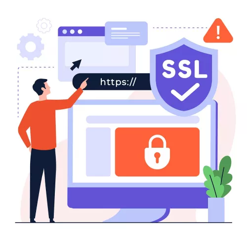 Domain Migration, SSL, Hosting Management