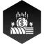 Consulting Service