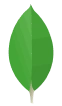 mongodb