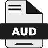 Handling audits
