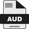 Handling audits
