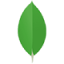 MongoDB