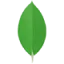 MongoDB